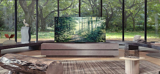 Edles Ambiente für einen Samsung-Fernseher. Naturnachahmung als Technik- und Lebensziel.