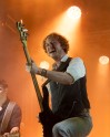 Versengold (c) Bimar Markus Steffen
